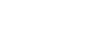anios-logo